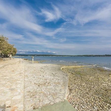 Apartment Lion Novigrad Istria Eksteriør bilde