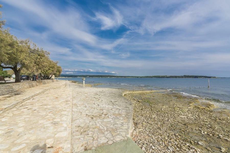 Apartment Lion Novigrad Istria Eksteriør bilde
