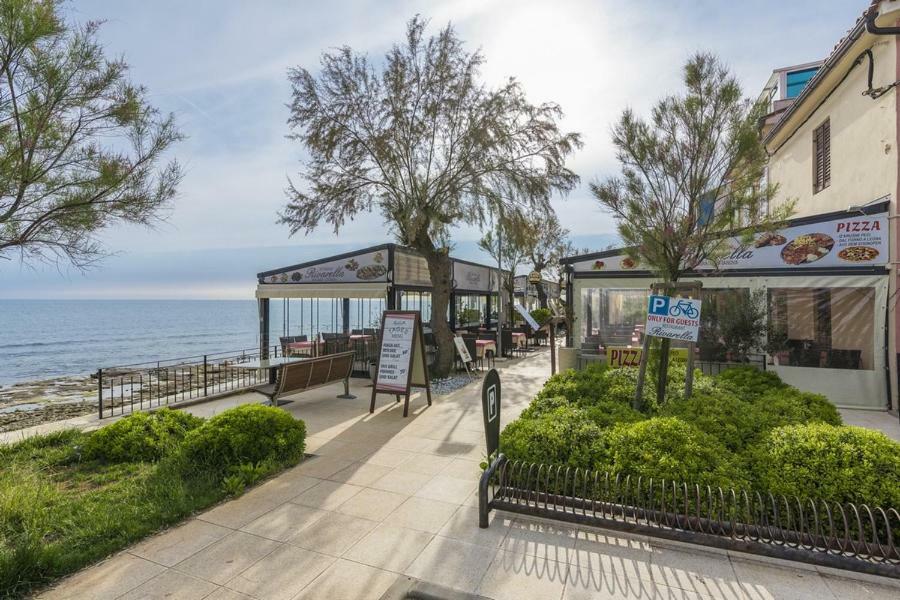 Apartment Lion Novigrad Istria Eksteriør bilde