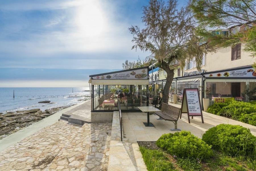 Apartment Lion Novigrad Istria Eksteriør bilde
